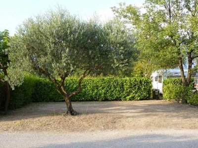 Cliquez pour découvrir toutes les photos de l'ÉTABLISSEMENT ! camping La Cerise photo 7