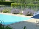Cliquez pour découvrir toutes les photos de l'ÉTABLISSEMENT ! camping La Cerise photo 2