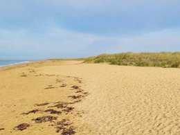 Camping Pas Cher vous présente avec son site Officiel campingpascher.fr, la Résidence Madame Vacances - Sémaphore De La Rivière D'Etel classé 2 étoiles, située sur la commune de Plouhinec dans le département Morbihan (Bretagne) en France. La résidence Madame Vacances - Sémaphore De La Rivière D'Etel, vous présente un hébergement de type studio et télévision. La résidence Madame Vacances - Sémaphore De La Rivière D'Etel vous proposeun séjour PAS CHER avec une REMISEdu sam. 19 décembre au sam. 26 décembre 2026, en promotion à -35% pour 7 nuits à 486,85 € au lieu de 749,0 € soit une Économie de 262,15 €. Cette location propose 181 dates différentes pour réserver votre séjour. Découvrez également les 2 autres gammes d'hébergements de la résidence. Paddle, Surf, Bar, Épicerie,... En savoir plus : cliquez-ICI.
