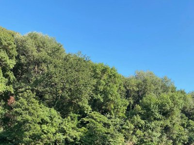 Cliquez pour découvrir toutes les photos de l'ÉTABLISSEMENT ! camping Les Bords De Cèze photo 24