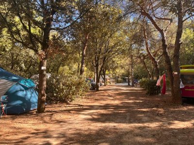 Cliquez pour découvrir toutes les photos de l'ÉTABLISSEMENT ! camping Les Bords De Cèze photo 9