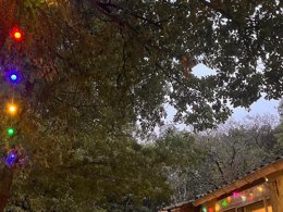 Camping Pas Cher vous présente avec son site Officiel campingpascher.fr, le Camping Les Bords De Cèze classé 3 étoiles, situé sur la commune de Cornillon dans le département Gard (Languedoc Roussillon) en France. Le camping Les Bords De Cèze, vous présente un hébergement de type chalet. Le camping Les Bords De Cèze vous propose du mercredi 01 avril au mercredi 08 avril 2026 pour 7 nuits à 322.8€. Cette location propose 177 dates différentes pour réserver votre séjour. Découvrez également les 11 autres gammes d'hébergements du camping. Les Avis clients pour le Camping Les Bords De Cèze sont excellents avec une note moyenne de 10 sur 10. Rivière, Aire de jeux enfants, Ping-pong, Pétanque, Supermarché, Épicerie,... En savoir plus : cliquez-ICI.