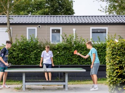 Cliquez pour découvrir toutes les photos de l'ÉTABLISSEMENT ! établissement Siblu De Oase photo 7