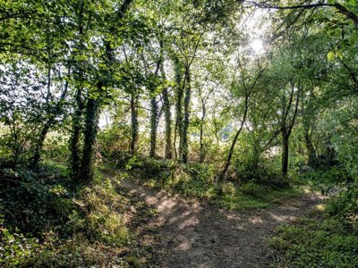 Cliquez pour découvrir toutes les photos de l'ÉTABLISSEMENT ! camping Le Colombier photo 6