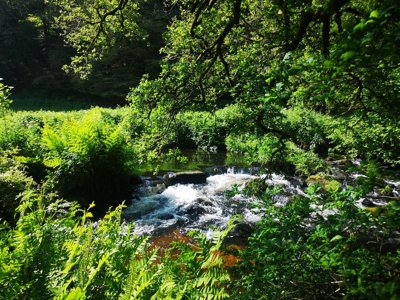 Cliquez pour découvrir toutes les photos de l'ÉTABLISSEMENT ! camping Domaine Du Scorff photo 13
