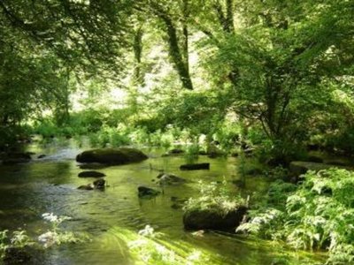 Cliquez pour découvrir toutes les photos de l'ÉTABLISSEMENT ! camping Domaine Du Scorff photo 21