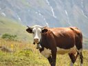 résidence VVF Albiez-Montrond Maurienne photo 3
