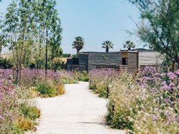 Camping Pas Cher vous présente avec son site Officiel campingpascher.fr, la Résidence Pierre & Vacances Premium Residence Le Domaine Du Golfe Du Lion classé 4 étoiles, située sur la commune de Saint Cyprien dans le département Pyrénées-orientales (Languedoc Roussillon) en France. La résidence Pierre & Vacances Premium Residence Le Domaine Du Golfe Du Lion, vous présente un hébergement de type appartement de 61 m² avec climatisation et télévision. La résidence Pierre & Vacances Premium Residence Le Domaine Du Golfe Du Lion vous propose du sam. 28 mars au sam. 04 avril 2026 pour 7 nuits à 936€. Cette location propose 104 dates différentes pour réserver votre séjour. Découvrez également les 8 autres gammes d'hébergements de la résidence. Piscine chauffée, Piscine extérieure, Club ados, Club enfants, Aire de jeux enfants, Parcours sportif, Ping-pong, Pétanque, Terrain de beach-volley, Terrain multisports, Dépôt de pain, Snack/Bar,... En savoir plus : cliquez-ICI.