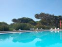 Camping Pas Cher vous présente avec son site Officiel campingpascher.fr, le Camping S'Ena Arrubia classé 3 étoiles, situé sur la commune de Arborea dans le département Oristano (Sardaigne) en Italie. Le camping S'Ena Arrubia, vous présente un hébergement de type mobil-home. Le camping S'Ena Arrubia vous proposeun séjour PAS CHER avec une REMISEdu sam. 12 septembre au sam. 19 septembre 2026, en promotion à -42% pour 7 nuits à 260 € au lieu de 455,0 € soit une Économie de 195 €. Cette location propose 12 dates différentes pour réserver votre séjour. Découvrez également les 1 autres gammes d'hébergements du camping. Mer, Piscine extérieure, Animations familiales, Centre équestre, Terrain de beach-volley, Bar, Restaurant,... En savoir plus : cliquez-ICI.