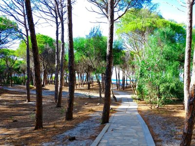 Cliquez pour découvrir toutes les photos de l'ÉTABLISSEMENT ! camping Selema photo 10