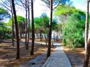 Cliquez pour découvrir toutes les photos de l'ÉTABLISSEMENT ! camping Selema photo 10