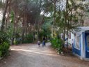 Cliquez pour découvrir toutes les photos de l'ÉTABLISSEMENT ! camping Selema photo 9