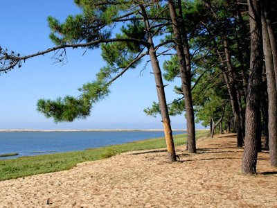 Cliquez pour découvrir toutes les photos de l'ÉTABLISSEMENT ! camping Sandaya Les Mathes photo 2