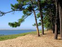 Cliquez pour découvrir toutes les photos de l'ÉTABLISSEMENT ! camping Sandaya Les Mathes photo 2