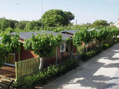 Cliquez pour découvrir toutes les photos de l'HÉBERGEMENT ! bungalow - Santa Eulàlia photo 2