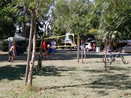 Camping Pas Cher vous présente avec son site Officiel campingpascher.fr, le Camping BONNES VACANCES Sur CAMPING LE BOSC classé 4 étoiles, situé sur la commune de Saint Cyprien dans le département Pyrénées-orientales (Languedoc Roussillon) en France. Le camping BONNES VACANCES Sur CAMPING LE BOSC vous propose un hébergement de type mobil-home de 32 m² pour 5 personnes avec climatisation (télévision). L'établissement vous propose 11 autres types d'hébergements. Découvrez tous nos séjours à petits prix dans la commune et aux alentours de Saint Cyprien du département : Pyrénées-orientales (Languedoc Roussillon). Les Avis clients pour le Camping BONNES VACANCES Sur CAMPING LE BOSC sont excellents avec une note moyenne de 8 sur 10. Parc aquatique, Piscine extérieure, Animations familiales, Club enfants, Aire de jeux enfants, Baby-foot, Canoë-kayak, Court de tennis, Cyclisme, Golf, Jet-ski, Location de bateaux, Parcours sportif, Ping-pong, Piscine, Pétanque, Salle de jeux vidéo, Terrain multisports, Bar, Boulangerie, Snack/Bar, Supermarché, Épicerie,... En savoir plus : cliquez-ICI.