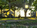 Cliquez pour découvrir toutes les photos de l'ÉTABLISSEMENT ! camping Residence Il Pioppeto photo 10