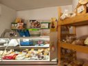 Cliquez pour découvrir toutes les photos de l'ÉTABLISSEMENT ! camping Residence Il Pioppeto photo 9