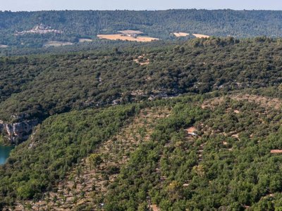 Cliquez pour découvrir toutes les photos de l'ÉTABLISSEMENT ! camping Liberté Verdon photo 12