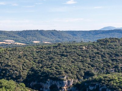 Cliquez pour découvrir toutes les photos de l'ÉTABLISSEMENT ! camping Liberté Verdon photo 28