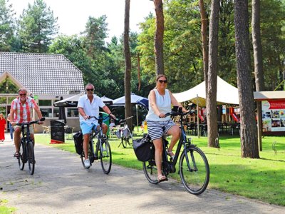 Cliquez pour découvrir toutes les photos de l'HÉBERGEMENT ! mobil-home - Kempen photo 6