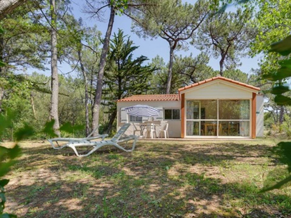 Camping Pas Cher vous présente avec son site Officiel campingpascher.fr, le Camping Domaine De La Presqu'île classé 4 étoiles, situé sur la commune de L'aiguillon Sur Mer dans le département Vendée (Pays De La Loire) en France. Le camping Domaine De La Presqu'île vous propose un hébergement de type maison de campagne de 36 m² pour 1 personne. Cet hébergement propose plus de 3 dates différentes pour réserver ! Pour dévouvrir la période la moins chère, consultez la rubrique 'Tarifs' et sélectionnez votre mois de départ. L'établissement vous propose 5 autres types d'hébergements. Découvrez tous nos séjours à petits prix dans la commune et aux alentours de L'aiguillon Sur Mer du département : Vendée (Pays De La Loire). Mer, Piscine chauffée, Piscine extérieure, Aire de jeux enfants, Baby-foot, Ping-pong, Pétanque, Terrain de badminton, Bar, Restaurant,... En savoir plus : cliquez-ICI.