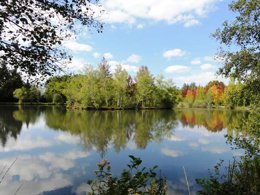 Camping Pas Cher vous présente avec son site Officiel campingpascher.fr, le Camping Sunelia L'Etang De Sologne classé 3 étoiles, situé sur la commune de Nouan Le Fuzelier dans le département Loir-et-cher (Centre Val De Loire) en France. Le camping Sunelia L'Etang De Sologne, vous présente un hébergement de type mobil-home de 33 m² avec climatisation et télévision. Le camping Sunelia L'Etang De Sologne vous propose du vendredi 02 octobre au vendredi 09 octobre 2026, en promotion à -27% pour 7 nuits à 211,68 € au lieu de 294,0 € soit une Économie de 82,32 €. Cette location propose 91 dates différentes pour réserver votre séjour. Découvrez également les 16 autres gammes d'hébergements du camping. Les Avis clients pour le Camping Sunelia L'Etang De Sologne sont excellents avec une note moyenne de 9 sur 10. Piscine chauffée, Piscine extérieure, Animations familiales, Club enfants, Aire de jeux enfants, Baby-foot, Court de tennis, Cyclisme, Ping-pong, Pétanque, Salle de jeux vidéo, Terrain de badminton, Terrain de volley-ball, Trampoline, Bar, Dépôt de pain, Snack/Bar, Épicerie,... En savoir plus : cliquez-ICI.