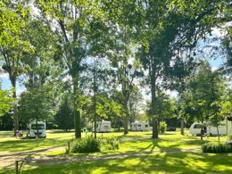 Camping Pas Cher vous présente avec son site Officiel campingpascher.fr, le Camping Sunelia L'Etang De Sologne classé 3 étoiles, situé sur la commune de Nouan Le Fuzelier dans le département Loir-et-cher (Centre Val De Loire) en France. Le camping Sunelia L'Etang De Sologne, vous présente un hébergement de type mobil-home de 34 m² avec climatisation et télévision. Le camping Sunelia L'Etang De Sologne vous propose du vendredi 02 octobre au vendredi 09 octobre 2026, en promotion à -28% pour 7 nuits à 201,60 € au lieu de 280,0 € soit une Économie de 78,40 €. Cette location propose 72 dates différentes pour réserver votre séjour. Découvrez également les 16 autres gammes d'hébergements du camping. Les Avis clients pour le Camping Sunelia L'Etang De Sologne sont excellents avec une note moyenne de 9 sur 10. Piscine chauffée, Piscine extérieure, Animations familiales, Club enfants, Aire de jeux enfants, Baby-foot, Court de tennis, Cyclisme, Ping-pong, Pétanque, Salle de jeux vidéo, Terrain de badminton, Terrain de volley-ball, Trampoline, Bar, Dépôt de pain, Snack/Bar, Épicerie,... En savoir plus : cliquez-ICI.