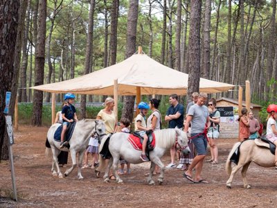 Cliquez pour découvrir toutes les photos de l'ÉTABLISSEMENT ! camping Le Tedey photo 15