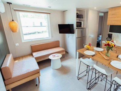 Cliquez pour découvrir toutes les photos de l'HÉBERGEMENT ! mobil-home - Le Tedey photo 2