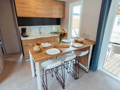 Cliquez pour découvrir toutes les photos de l'HÉBERGEMENT ! mobil-home - Le Tedey photo 3