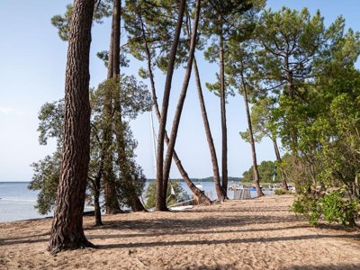 Cliquez pour découvrir toutes les photos de l'ÉTABLISSEMENT ! camping Le Tedey photo 4