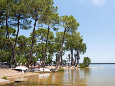Cliquez pour découvrir toutes les photos de l'ÉTABLISSEMENT ! camping Le Tedey photo 7