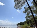 Camping Pas Cher vous présente avec son site Officiel campingpascher.fr, le Camping Le Tedey classé 4 étoiles, situé sur la commune de Lacanau dans le département Gironde (Aquitaine) en France. Le camping Le Tedey, vous présente un hébergement de type lodge de 35 m² pour 1 personne. Le camping Le Tedey vous propose du jeudi 04 juin au jeudi 11 juin 2026 avec un DÉPART DEMAIN pour 7 nuits à 380€. Cette location propose 35 dates différentes pour réserver votre séjour. Découvrez également les 11 autres gammes d'hébergements du camping. Les Avis clients pour le Camping Le Tedey sont excellents avec une note moyenne de 8 sur 10. Animations familiales, Club enfants, Canoë-kayak, Cyclisme, Paddle, Ping-pong, Pétanque, Randonnée, Terrain de beach-volley, Voile, kiteSurf, Plats à emporter, Restaurant, Snack/Bar,... En savoir plus : cliquez-ICI.