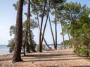 Cliquez pour découvrir toutes les photos de l'ÉTABLISSEMENT ! camping Le Tedey photo 4