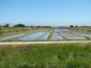 Cliquez pour découvrir toutes les photos de l'ÉTABLISSEMENT ! village vacances TLC Vacances Noirmoutier photo 6