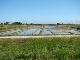 Camping Pas Cher vous présente avec son site Officiel campingpascher.fr, le Village vacances TLC Vacances Noirmoutier, situé sur la commune de La Gueriniere dans le département Vendée (Pays De La Loire) en France. Le village vacances TLC Vacances Noirmoutier vous propose un hébergement de type villa pour 1 personne (télévision). L'établissement vous propose 2 autres types d'hébergements. Découvrez tous nos séjours à petits prix dans la commune et aux alentours de La Gueriniere du département : Vendée (Pays De La Loire). Les Avis clients pour le Village vacances TLC Vacances Noirmoutier sont excellents avec une note moyenne de 8 sur 10. Centre équestre, Court de tennis, Voile,... En savoir plus : cliquez-ICI.