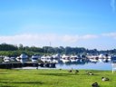 Cliquez pour découvrir toutes les photos de l'ÉTABLISSEMENT ! camping Lido Di Sesto Boats&Restaurant photo 7