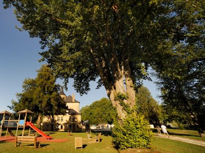 camping Vacances ULVF Le Domaine De Pelvezy photo 6