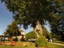 camping Vacances ULVF Le Domaine De Pelvezy photo 8