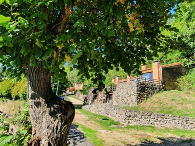 camping Olydea Vorey-sur-Arzon photo 1