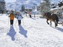 Cliquez pour découvrir toutes les photos de l'ÉTABLISSEMENT ! village vacances FranceComfort AlpResort Portes Du Soleil photo 5