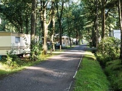 Cliquez pour découvrir toutes les photos de l'ÉTABLISSEMENT ! camping Floreal Holidays Het Veen photo 3