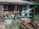 Cliquez pour découvrir toutes les photos de l'HÉBERGEMENT ! chalet - camping Verdon Les Grands Domaines photo 2
