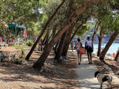 camping Cikat photo 24