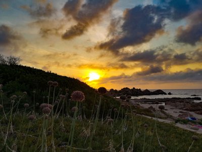 camping Village Saragosa photo 16