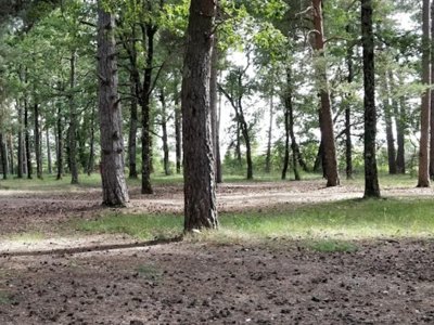 Cliquez pour découvrir toutes les photos de l'ÉTABLISSEMENT ! camping Ushuaïa Villages Provence-Ventoux photo 6