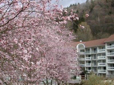 Cliquez pour découvrir toutes les photos de l'ÉTABLISSEMENT ! résidence Les Silènes photo 2