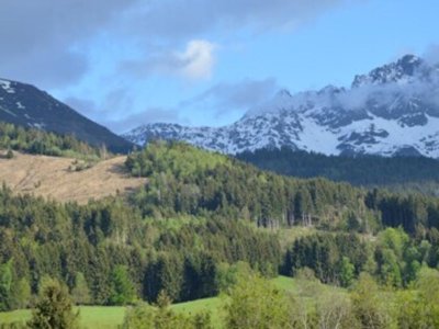Cliquez pour découvrir toutes les photos de l'ÉTABLISSEMENT ! résidence Les Silènes photo 3