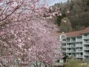 Cliquez pour découvrir toutes les photos de l'ÉTABLISSEMENT ! résidence Les Silènes photo 2